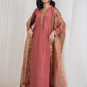 Gown With Net fabric